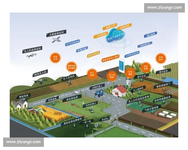 以高质量发展为引领的中长期发展规划总体思路与实施路径