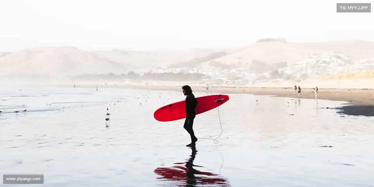 <strong>WG电子</strong>🏊‍♂️潜入深蓝，跃上巅峰 —— 体育的魅力，在于永不言弃！